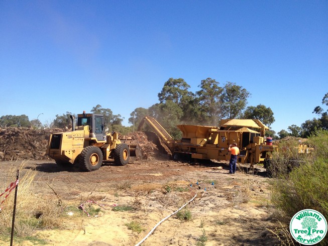 Land Clearing by Williams Tree Pro Services