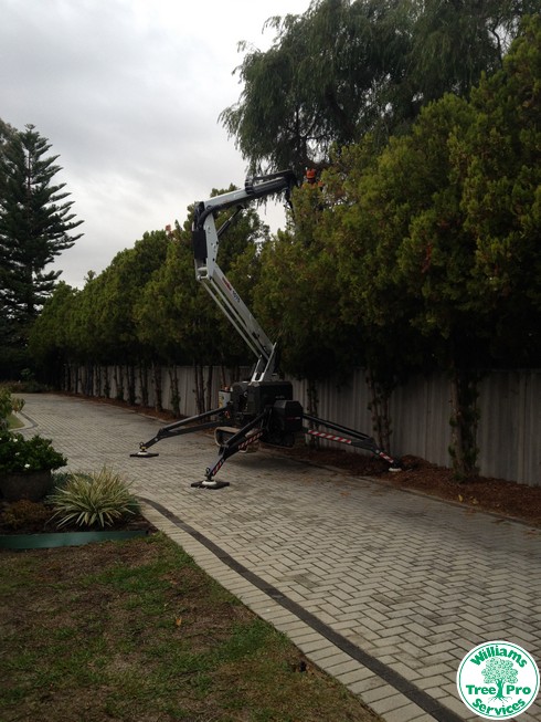 cherry picker used for lopping, trimming, pruning