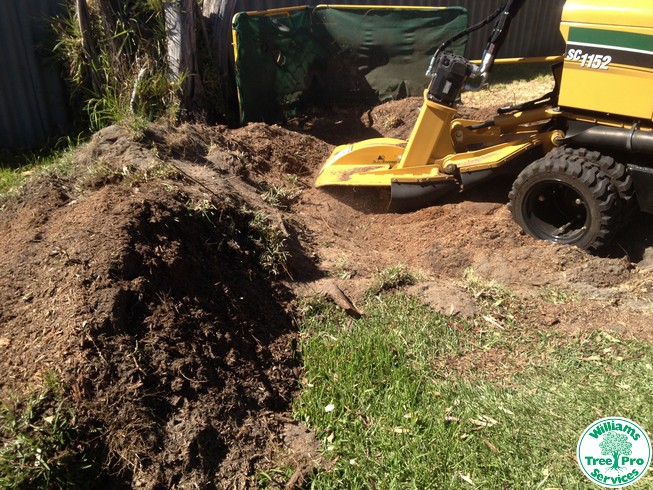 stump grinding - our stump grinder at work